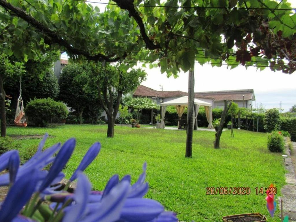 Casa De Sao Braz Villa Landim Eksteriør billede